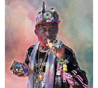 New Age Doom and Lee "Scratch" Perry - Remix The Universe [VINYL]