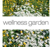 New Age - Wellness Garden