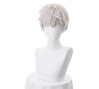 New Arrival Game Cosplay Wig 30cm Short Straight Hair Soldier 76 Jack Morrison Wig for Man Boy Costume Party Silver Grey One Size Gray