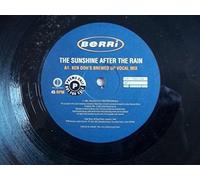 New Atlantic / U4EA Feat. BERRi - BERRI / THE SUNSHINE AFTER THE RAIN