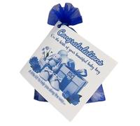 New Baby Boy Congratulations Survival Kit | Gift Set & Card | New Parent Novelty Keepsake Survival Kit