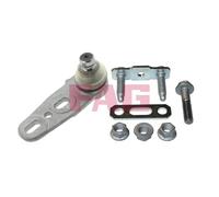 FAG 825 0288 10 Ball Joint