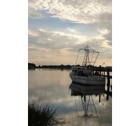 New Beginnings: A Daily Journey to Wellness, Self-Care, and Love