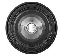 SNR DPF355.29 Crankshaft pulley