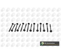 New Bolt Kit, cylinder head for BMW:3,5,7,X3,X4 7812925 8511621 8513130