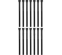 Reinz Bolt Kit 14-12261-03 - Cylinder Head Female Torx - Fits BMW, Toyota