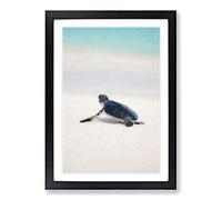 New Born Sea Turtle in Abstract Framed Print | A2 Black Framed Wall Art | Ready to Hang | Abstract Animal Picture | Living Room Bedroom Lounge Office