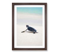New Born Sea Turtle in Abstract Framed Print | A2 Walnut Framed Wall Art | Ready to Hang | Abstract Animal Picture | Living Room Bedroom Lounge Office