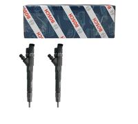 Injector Common Rail (CR) 0 445 110 248 BOSCH for CITROËN PEUGEOT FIAT IVECO
