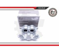 New Brake Caliper for NISSAN:CABSTAR E 411119X425
