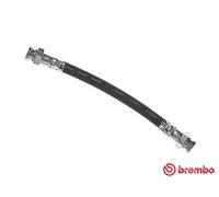 Brembo Flexible Brake Hose T23 182 for Fiat Panda, 500/500C, Abarth 500/595/695C, Ford KA