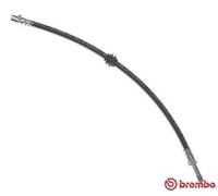 Brembo Brake Hose T 06 012 – Front – BMW 3 (E46/Compact/Convertible), Z4 (E85/E86) M43B19 1.9L