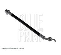 Brake Hose fits TOYOTA AURIS NRE185 1.2 15 to 18 8NR-FTS Hydraulic Blue Print