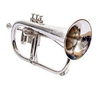 NEW BRAND Flugel Horn Bb Flat Silver Nickel With Free Hard Case+Mouthpiece RDS123