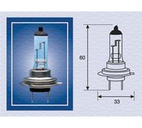 MAGNETI MARELLI 002558100000 Bulb, spotlight