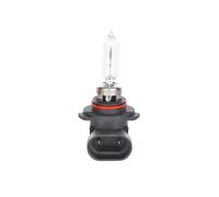 New Bulb, spotlight for ALFA ROMEO ALPINA AUDI BMW BMW MOTORCYCLES CADILLAC MG