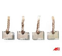 AS-PL SB9009 Carbon Brush, starter