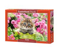 NEW Castorland Jigsaw Puzzles 500, 1000, 1500, 2000 Pieces & free UK Shipping