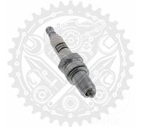 CHAMPION Spark plug POWERSPORT 8809/CCH88091