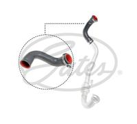 New Charger Air Hose for RENAULT:MEGANE II,SCÉNIC II,GRAND SCÉNIC II