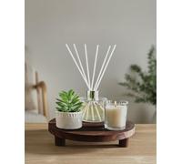New Charming Vanilla Musk Reed Diffuser Set with Faux Succulent and Minimalist Decorative Tray - A Cozy and Stylish Home Décor Accent Gift-A42
