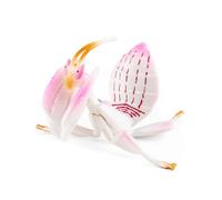 New Children Simulated Model Solid Cognitive Sciences Education Mosquitoes Halloween Trick Funny Toy
