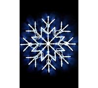 New Cool White Christmas Snowflake Light Window 50 LED Lights Static/Flash Cool
