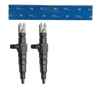 New Delphi Diesel Injector 42044914 x 2