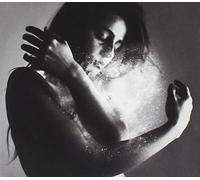 New Division - Together We Shine