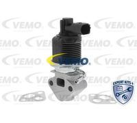 EGR Valve For Audi A2 Seat AROSA CORDOBA IBIZA INCA LEON 036131503T