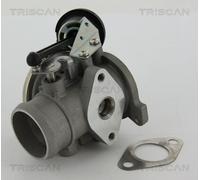 TRISCAN 8813 29022 EGR valve