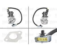 Valeo EGR Valve 700409