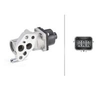 HELLA 6NU 010 171-001 EGR valve