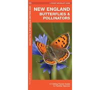 New England Butterflies & Pollinators: A Folding Pocket Guide to Familiar Species (Nature Observation North America)