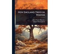 New England Trees in Winter