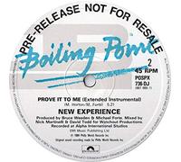 New Experience - PROVE IT TO ME 12 INCH (12 " VINYL) UK BOILING POINT 1994