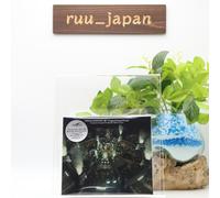 New Final Fantasy VII Original Soundtrack GAME MUSIC 4 CD SET Square Enix