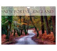 New Forest - England UK-Version (Wall Calendar 2026 DIN A4 Landscape), CALVENDO 12 Month Wall Calendar