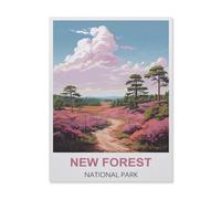 New Forest National Park，Jigsaw Puzzles for Adults 1000 Piece, Classic Puzzle Teens Boys Girls Puzzles Sturdy Tight Fitting Pieces,Letters On Back for Ideal Challenging And Gift（75x50cm）-D95