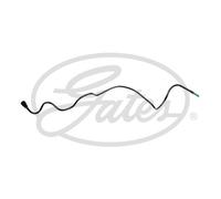 New Fuel Hose for CITROËN:DS5 1525.RT