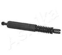 ASHIKA ZSA01037 Tailgate strut