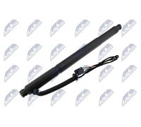 NTY AE-BM-076 Gas Spring, tray (boot / cargo bay)