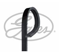 NEW GATES MICRO-V MULTI-RIBBED BELT OE QUALITY REPLACEMENT 3PK881SF