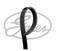 NEW GATES MICRO-V MULTI-RIBBED BELT OE QUALITY REPLACEMENT 4PK885