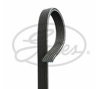 NEW GATES MICRO-V MULTI-RIBBED BELT OE QUALITY REPLACEMENT 6DPK1352