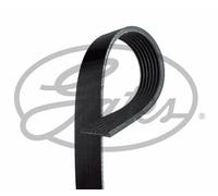 NEW GATES MICRO-V MULTI-RIBBED BELT OE QUALITY REPLACEMENT 7PK1793