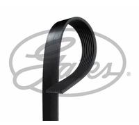 NEW GATES MICRO-V MULTI-RIBBED BELT OE QUALITY REPLACEMENT 8PK2513