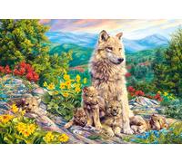 Castorland Jigsaw Puzzle New Generation 1000 pcs – Various Styles