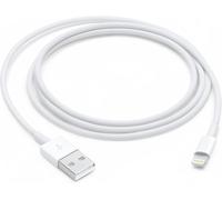 Apple Usb C/lightning 1 M