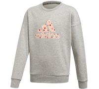 New Girls Kids Junior Adidas Logo Sweatshirt Jumper Sweater Pullover Top - Grey
